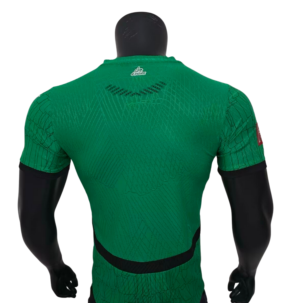 Ivory Coast Green Player Version 2024/2025