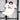 Maillot FC Cologne concept commemoratif 2025/2026