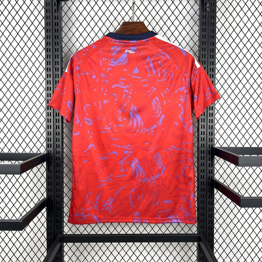 Maillot Costa Rica Domicile Coupe du Monde 2026 - Vêtements de sport