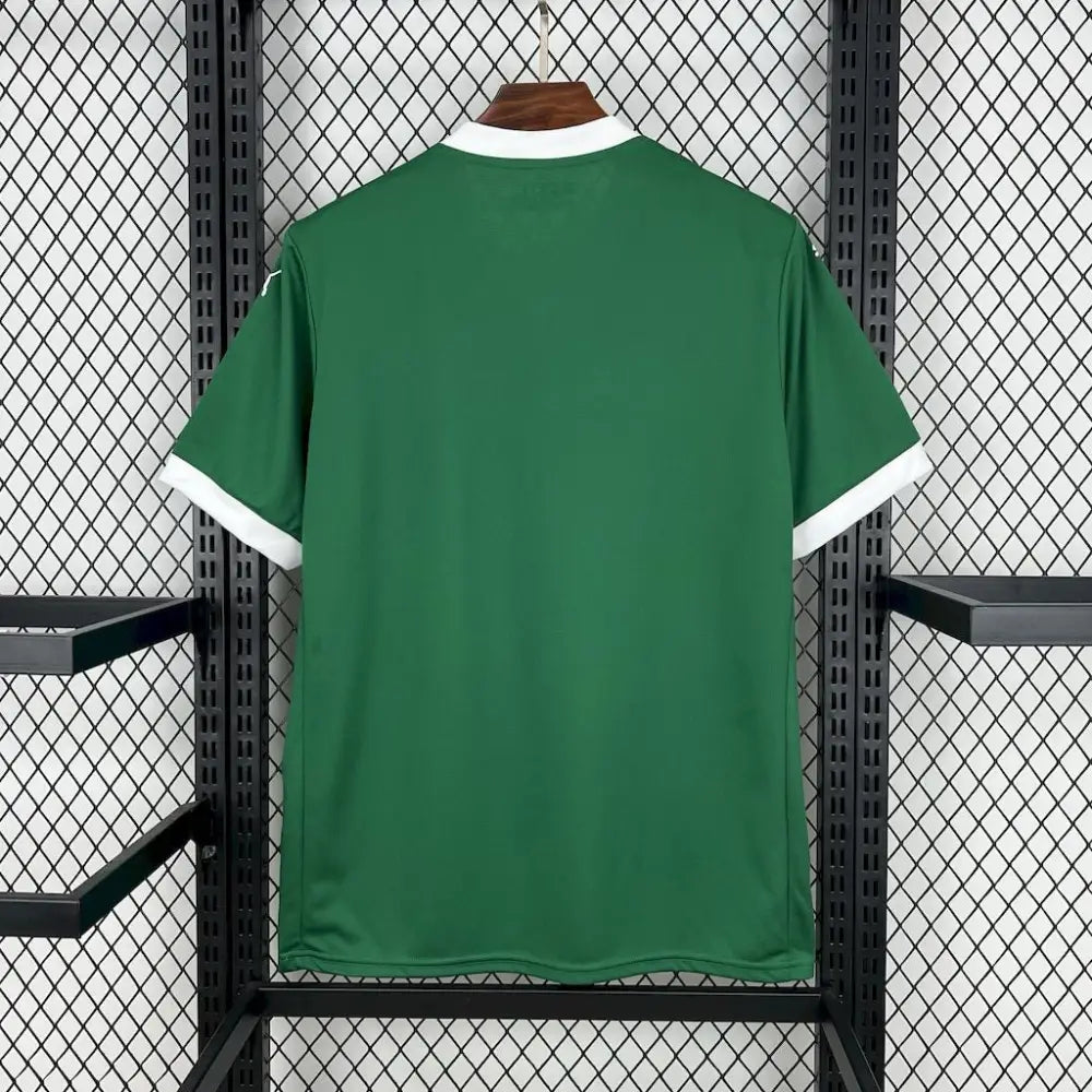 Palmeiras Domicile 2025/2026 - Vêtements de sport