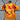 Paris FC Orange 2025/2026 Ninho JEFE - Vêtements de sport