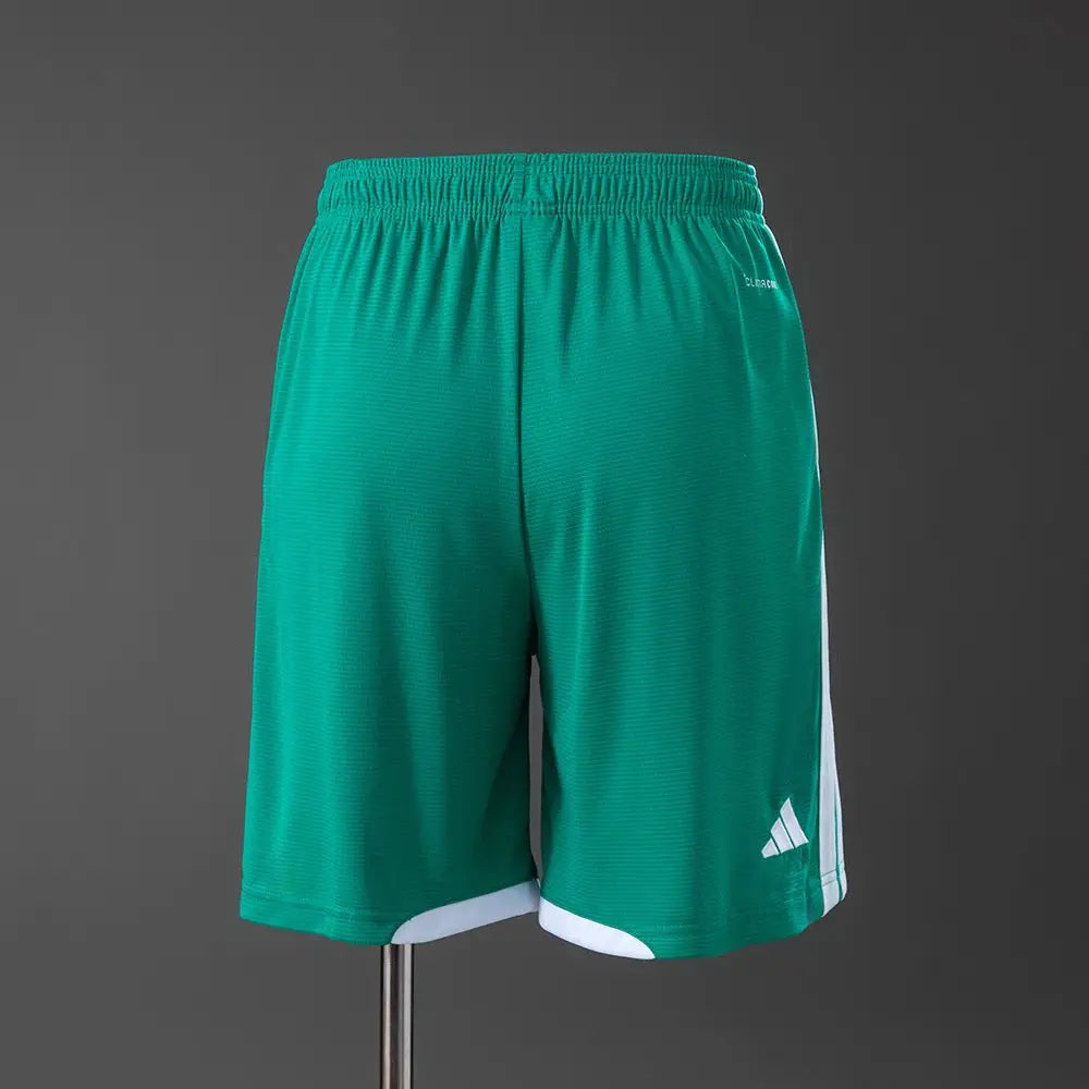 Short Irlande Coupe du Monde 2026 Extérieur - Vêtements de sport