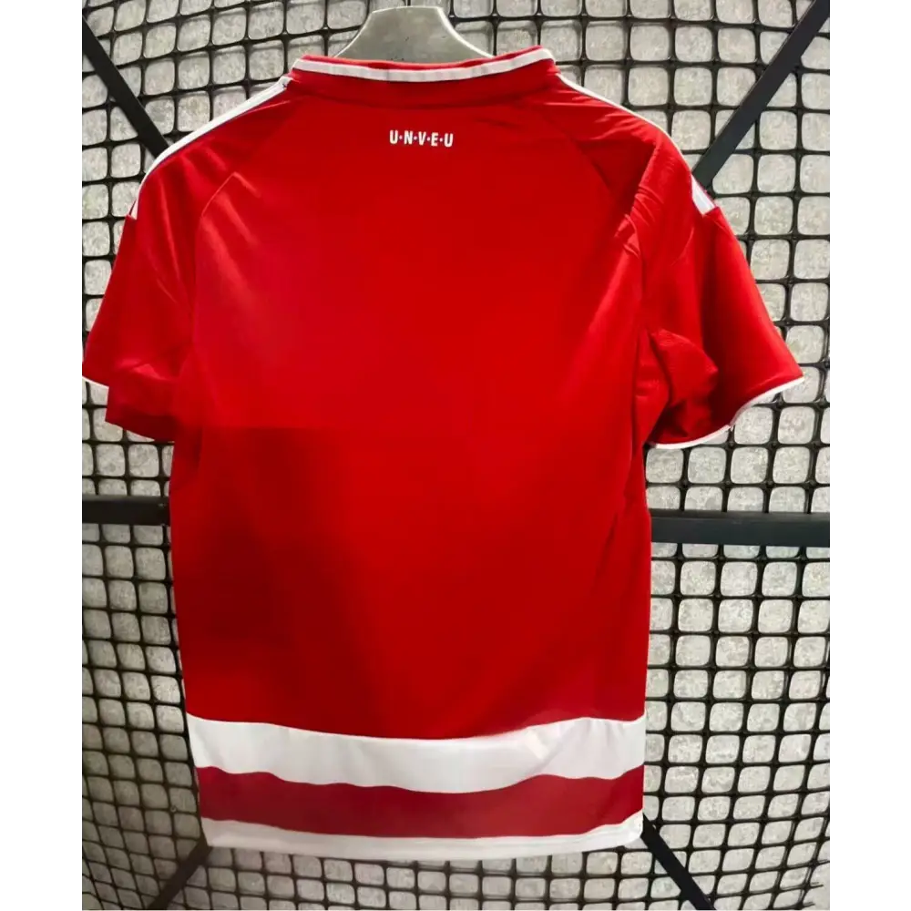 Union Berlin Domicile 2025/2026 - Vêtements de sport