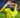 Neymar à l’OM ? L’improbable rumeur qui affole le mercato