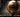 Ballon d’Or 2025 : la liste des nommés dévoilée