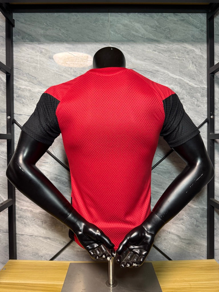 Maillot Allemagne Pré Match Coupe du monde 2026