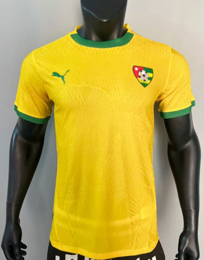 Maillot Togo Concept jaune et vert Version Joueur 2025/2026