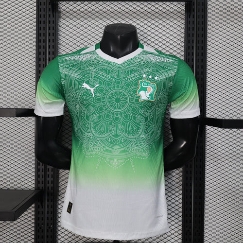 Maillot Cote d'Ivoire Concept degradé vert Version Joueur 2025/2026