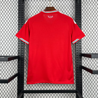 Wales Home Jersey World Cup 2026