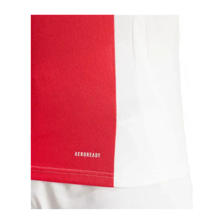 Ajax Amsterdam Domicile 2024/2025 - Vêtements de sport