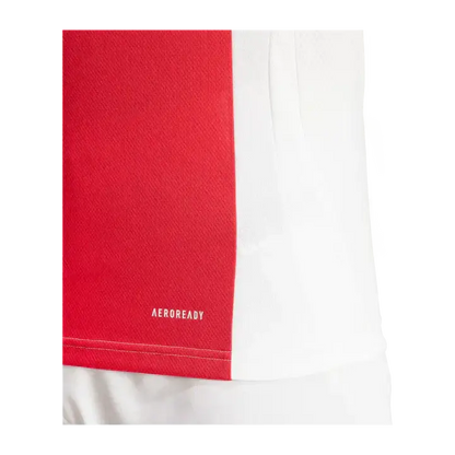Ajax Amsterdam Domicile 2024/2025 - Vêtements de sport