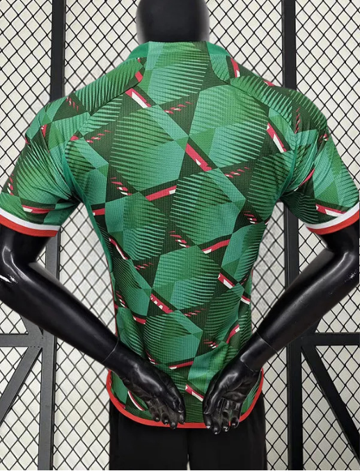 Algérie Extérieur Concept 2024/2025 - Vêtements de sport