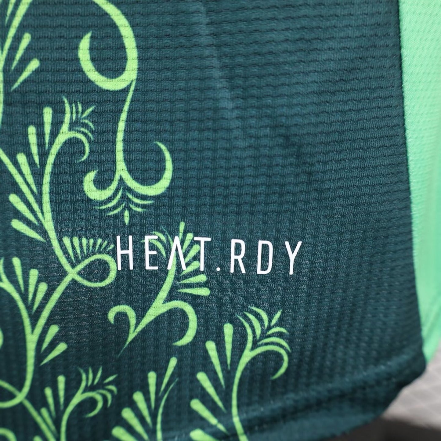 Algérie Extérieur Green Concept 2024/2025 - Vêtements de sport