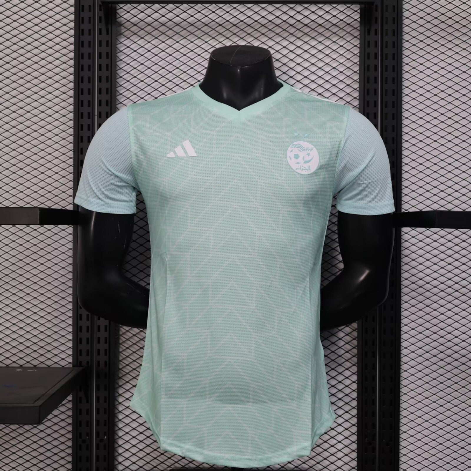 Algérie Vert Pistache Version Joueur 2025/2026 - Vêtements de sport