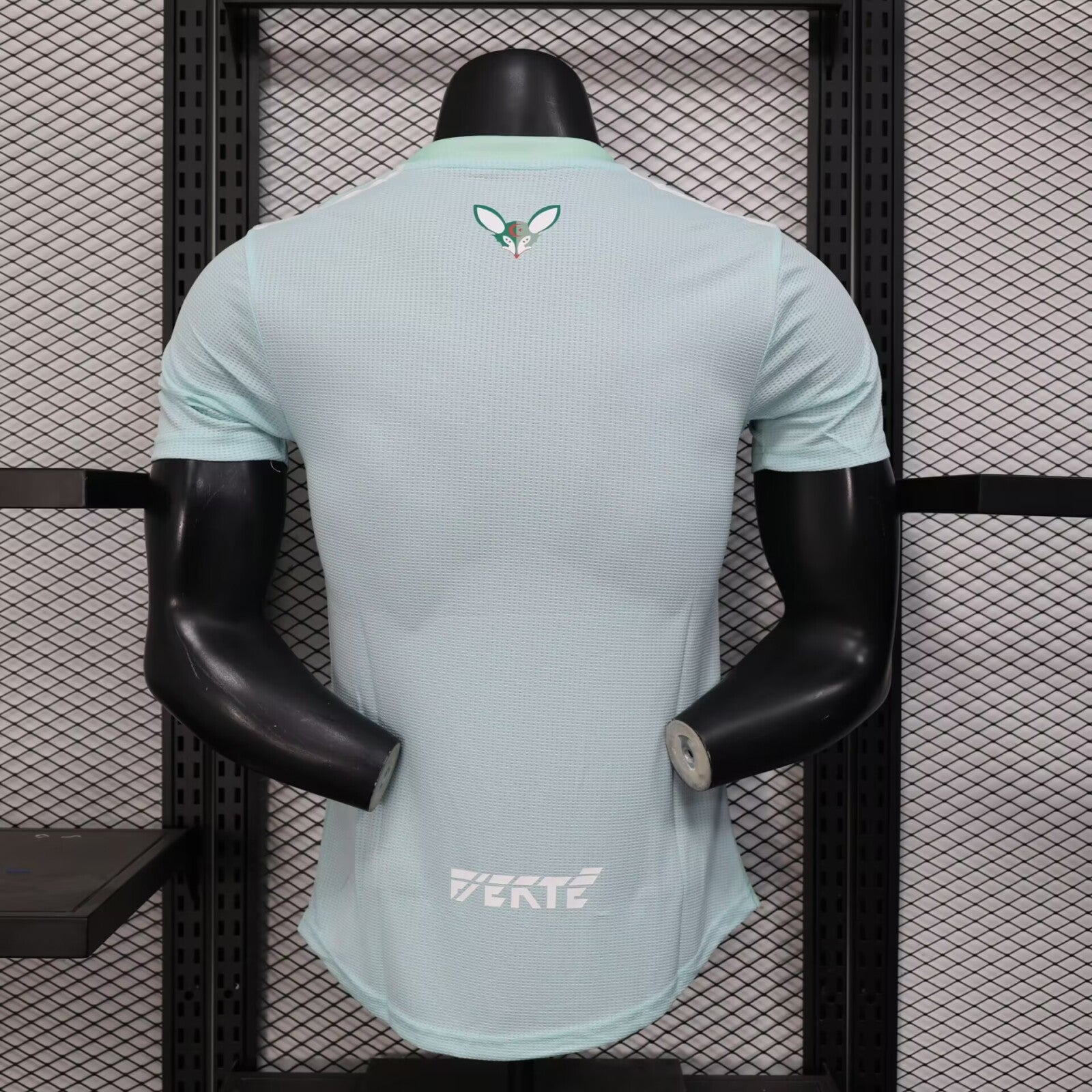 Algérie Vert Pistache Version Joueur 2025/2026 - Vêtements de sport