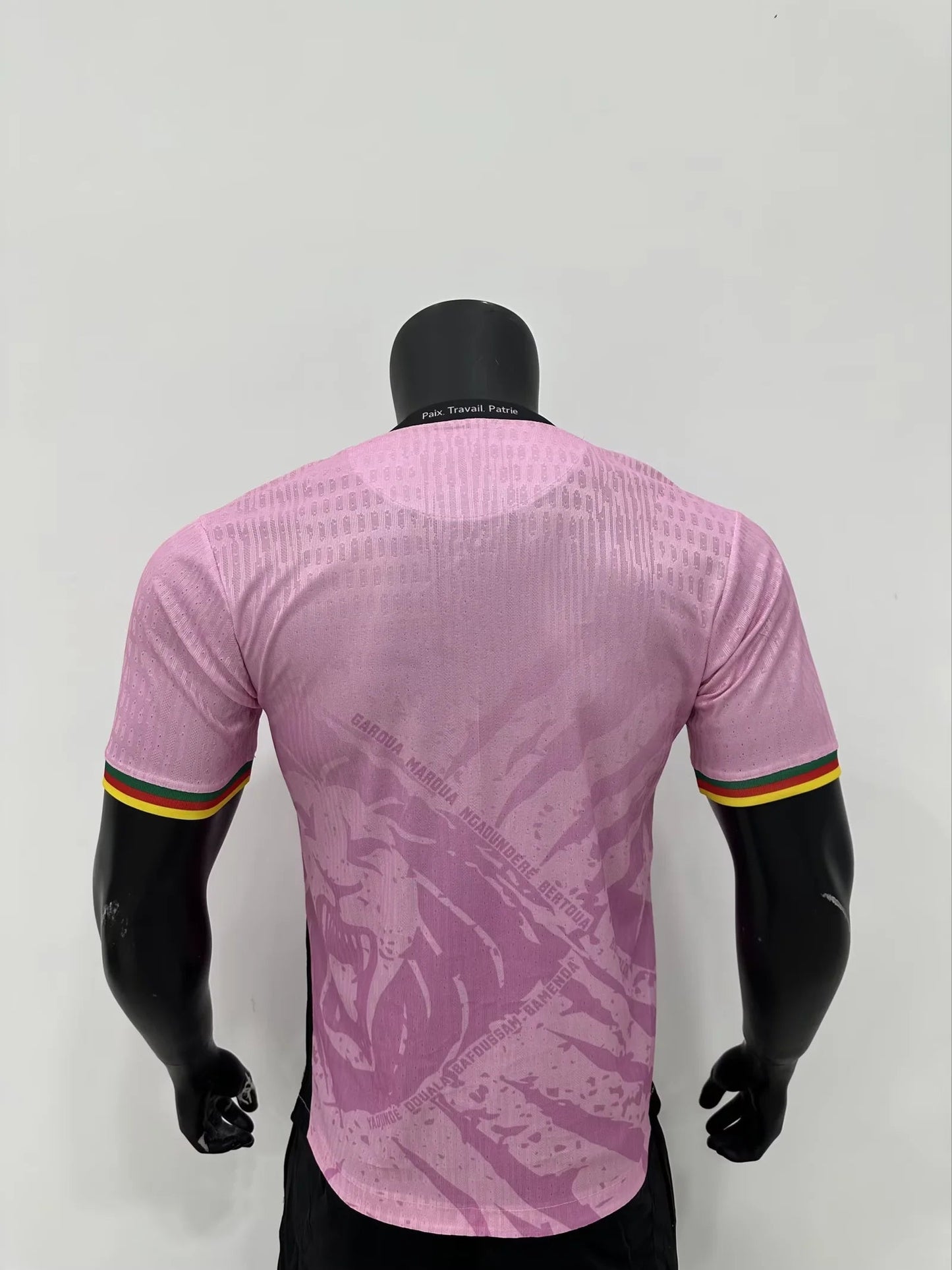 Cameroun Rose Version Joueur 2025/2026 - Vêtements de sport