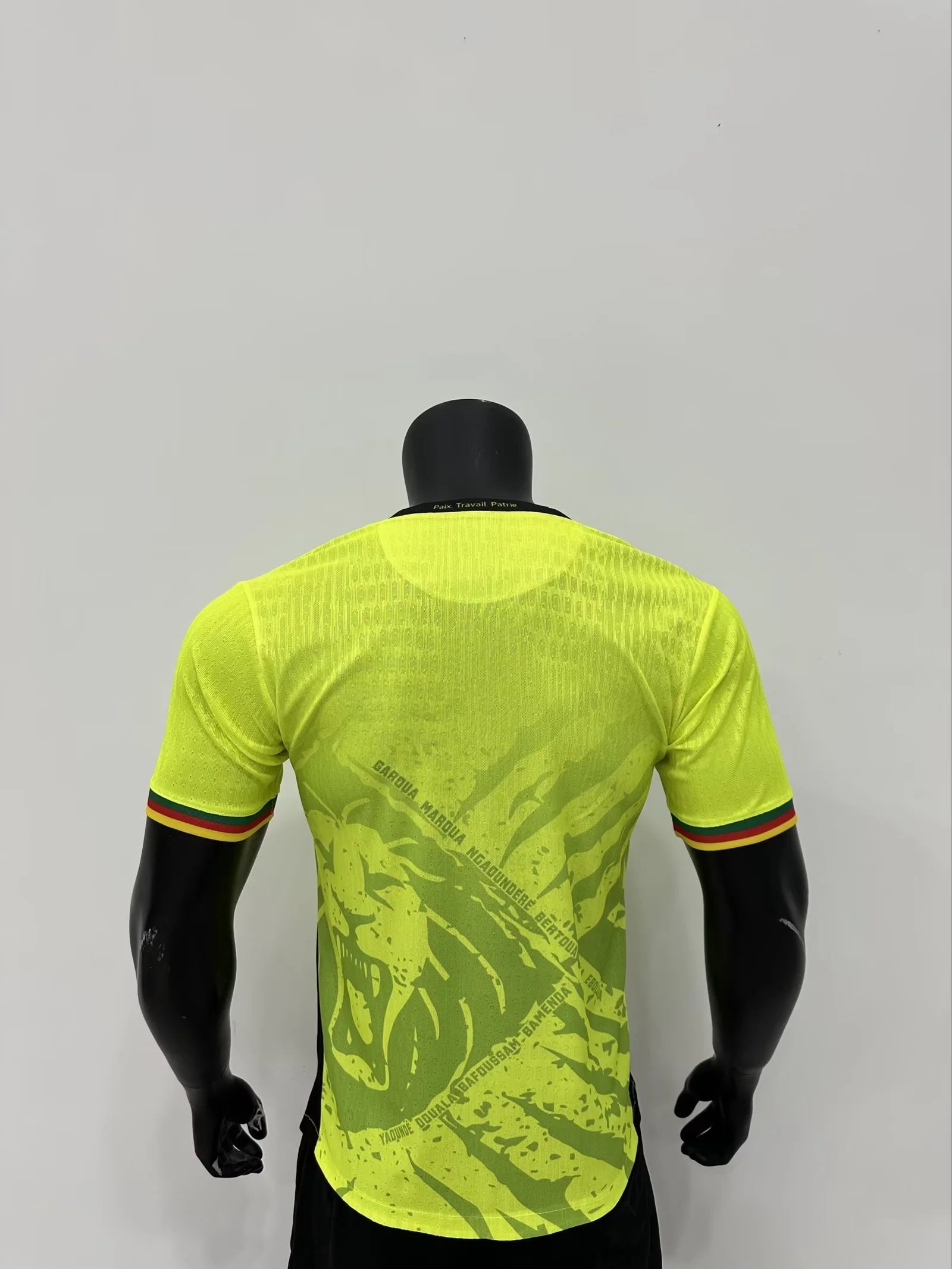 Cameroun Vert Version Joueur 2025/2026 - Vêtements de sport