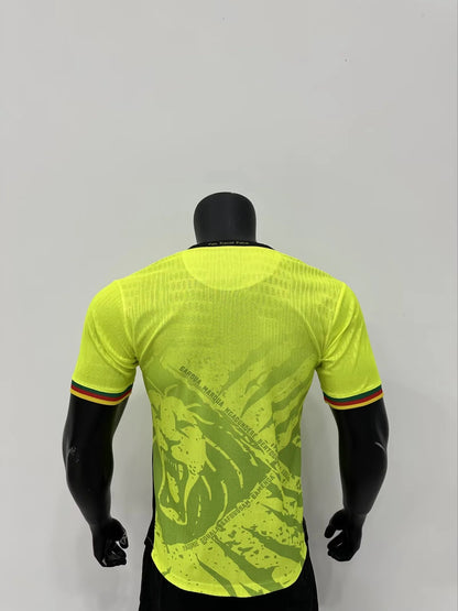 Cameroun Vert Version Joueur 2025/2026 - Vêtements de sport