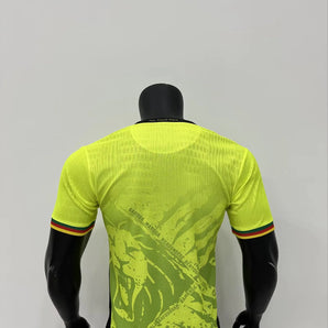 Cameroun Vert Version Joueur 2025/2026 - Vêtements de sport