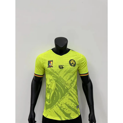 Cameroun Vert Version Joueur 2025/2026 - Vêtements de sport