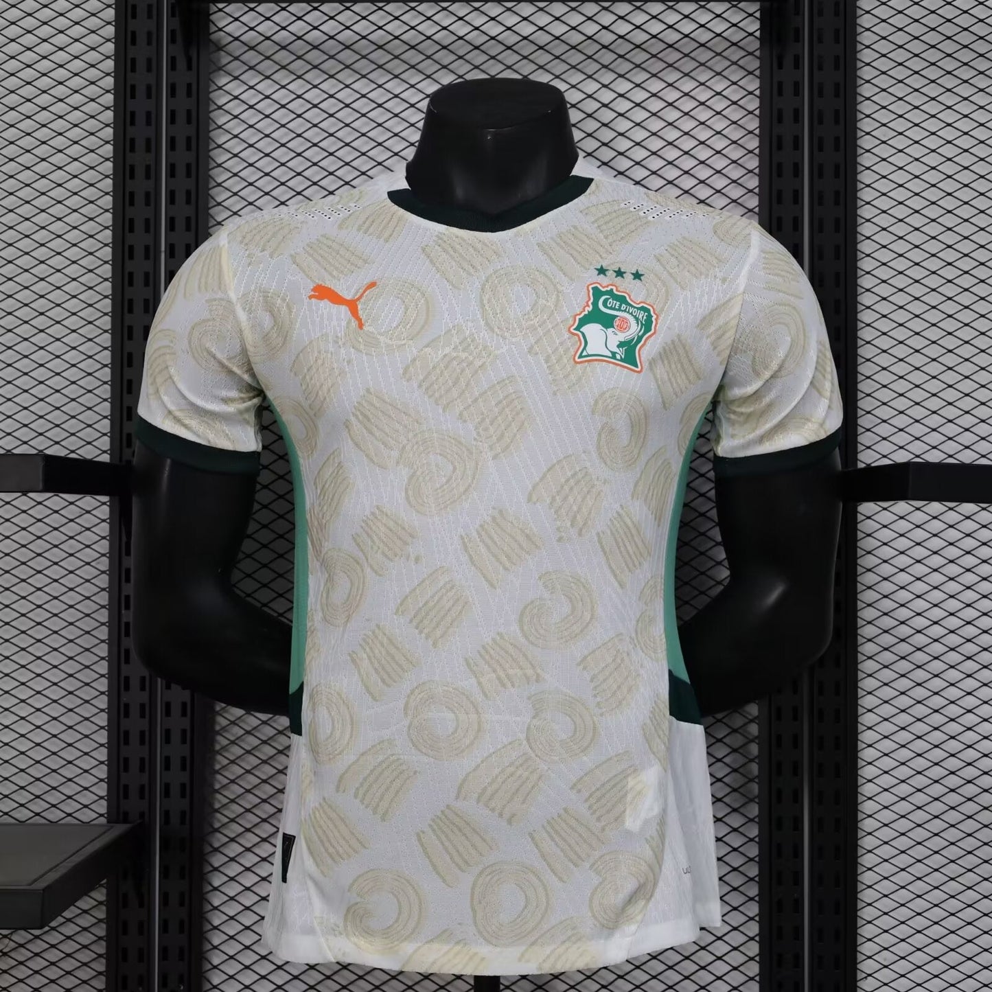 Cote d’Ivoire Maillot Extérieur Version Joueur 2025/2026 - Vêtements de sport