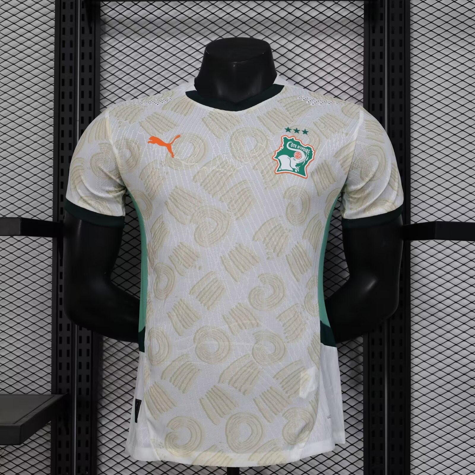 Cote d’Ivoire Maillot Extérieur Version Joueur 2025/2026 - Vêtements de sport