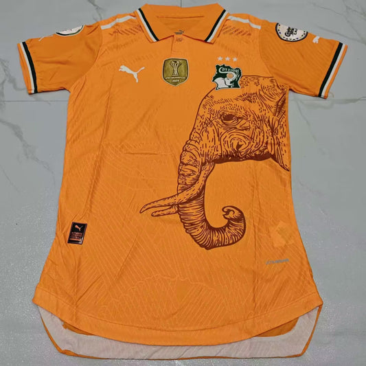 Cote d’Ivoire Spécial Edition Orange 2025/2026 - XL #MWS Options 1 - Vêtements de sport