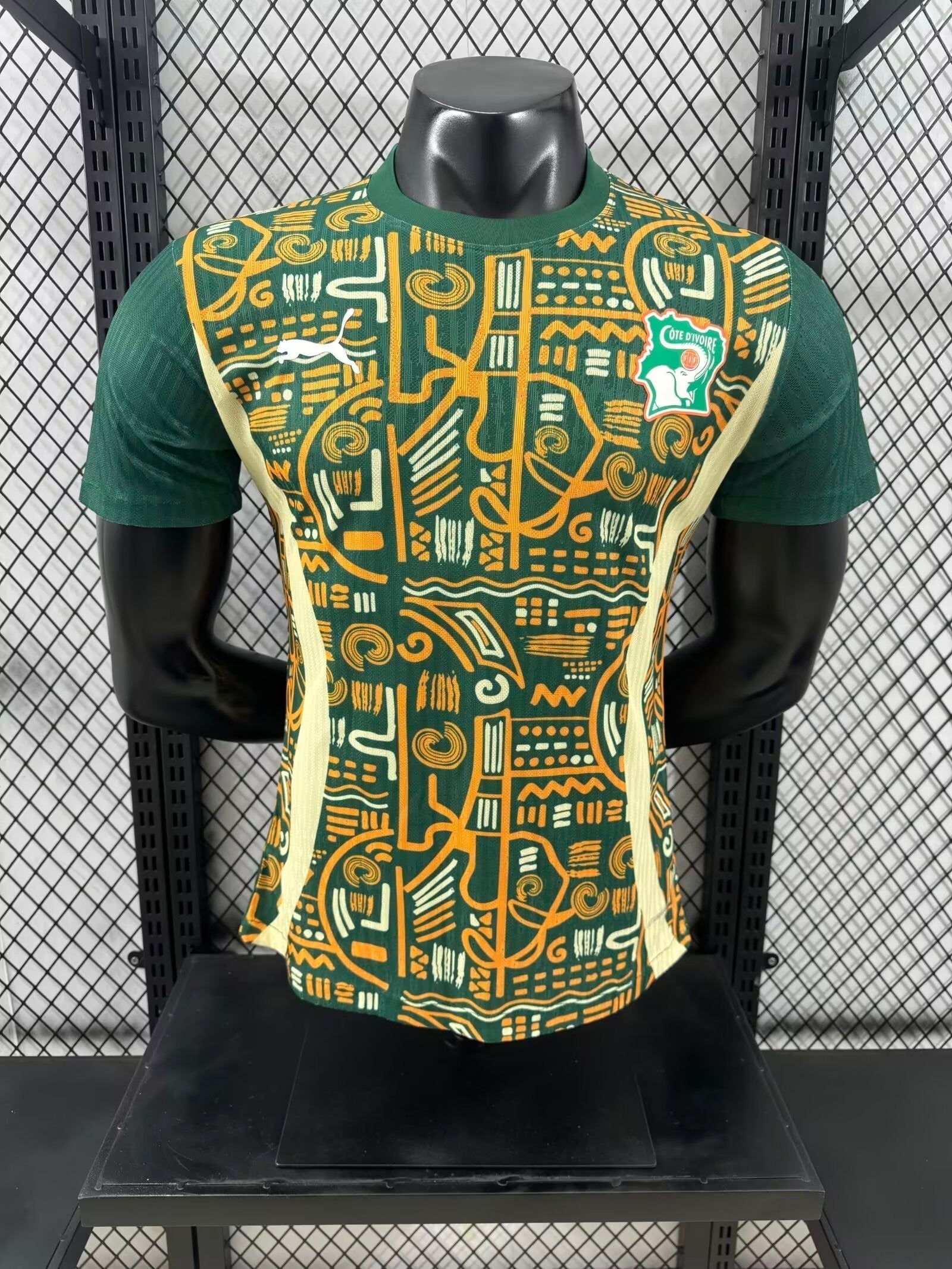 Cote d’Ivoire Vert Version Joueur 2024/2025 - Vêtements de sport