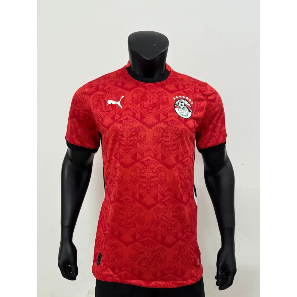 Egypte Domicile Version Joueur 2025/2026 - Vêtements de sport