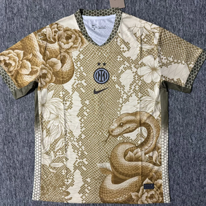 Inter Milan Concept Spécial Snake Or 2025/2026 Vêtements de sport