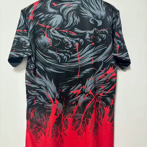 Japon Spécial Edition Aigle 2025/2026 Vêtements de sport