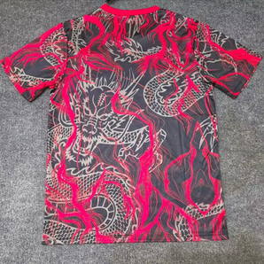 Japon Spécial Edition Dragon 2025/2026 Vêtements de sport