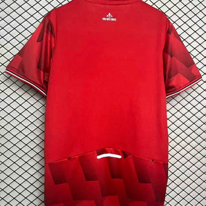 LOSC Lille Domicile 2025/2026 - Vêtements de sport
