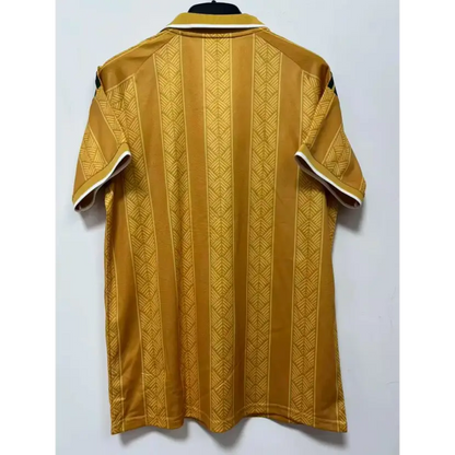 Maillot Afrique du Sud Coupe du Monde 2026 Gold - Vêtements de sport
