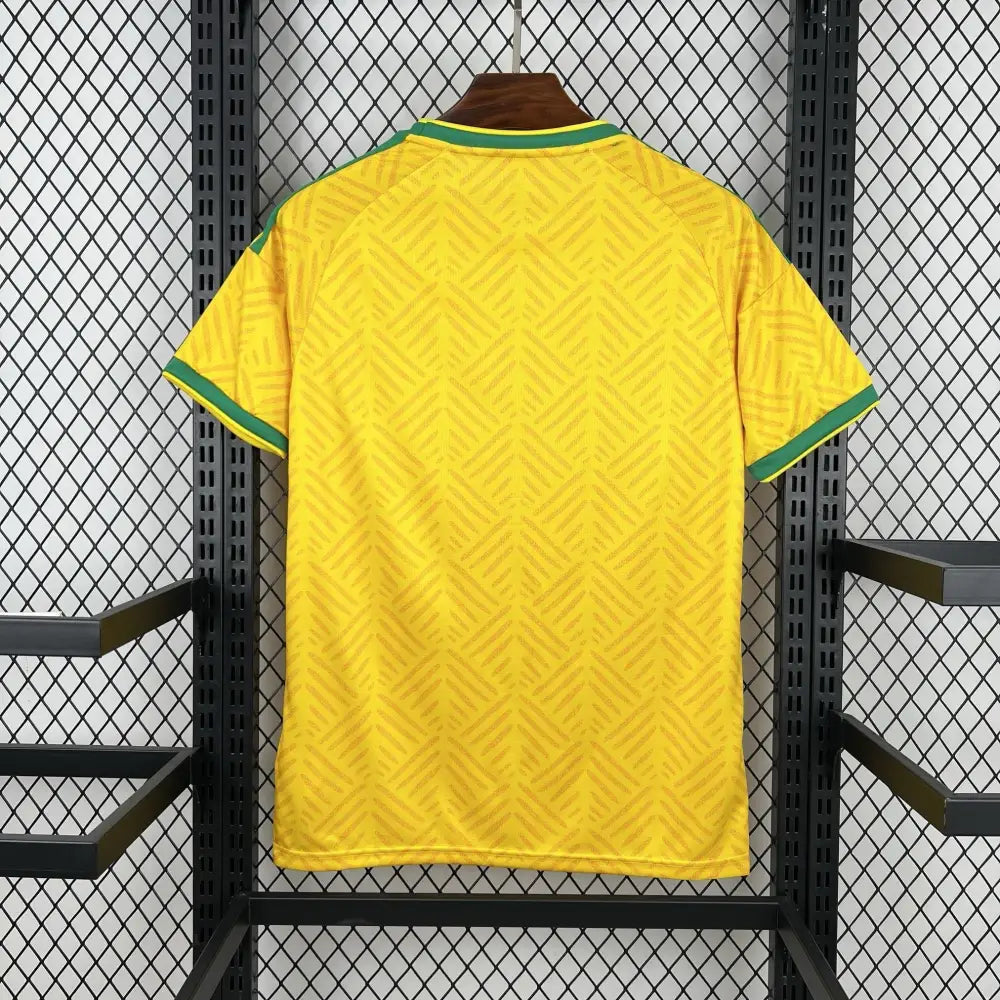 Maillot Afrique du Sud Domicile 2025/2026 - Vêtements de sport
