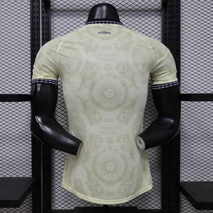 Maillot Argentine Coupe du Monde 2026 Concept version joueur - Vêtements de sport