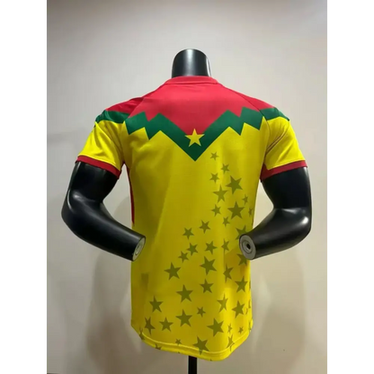 Maillot Burkina Faso concept Version Joueur 2025/2026 - Vêtements de sport