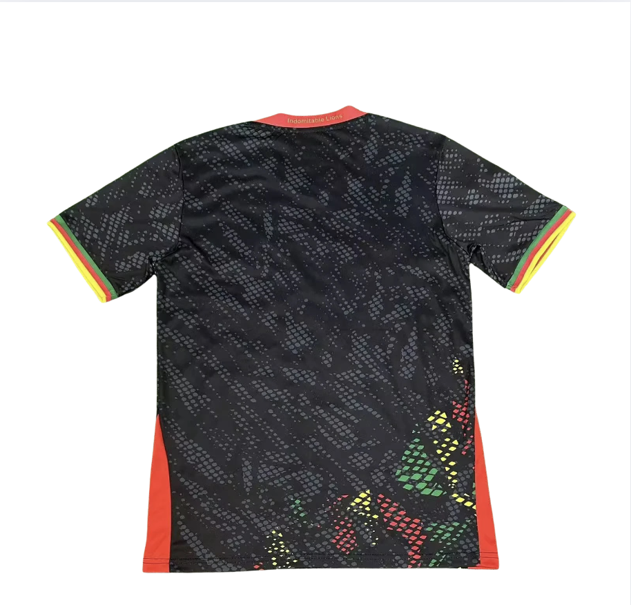 Maillot Cameroun Third CAN 2025 - Vêtements de sport