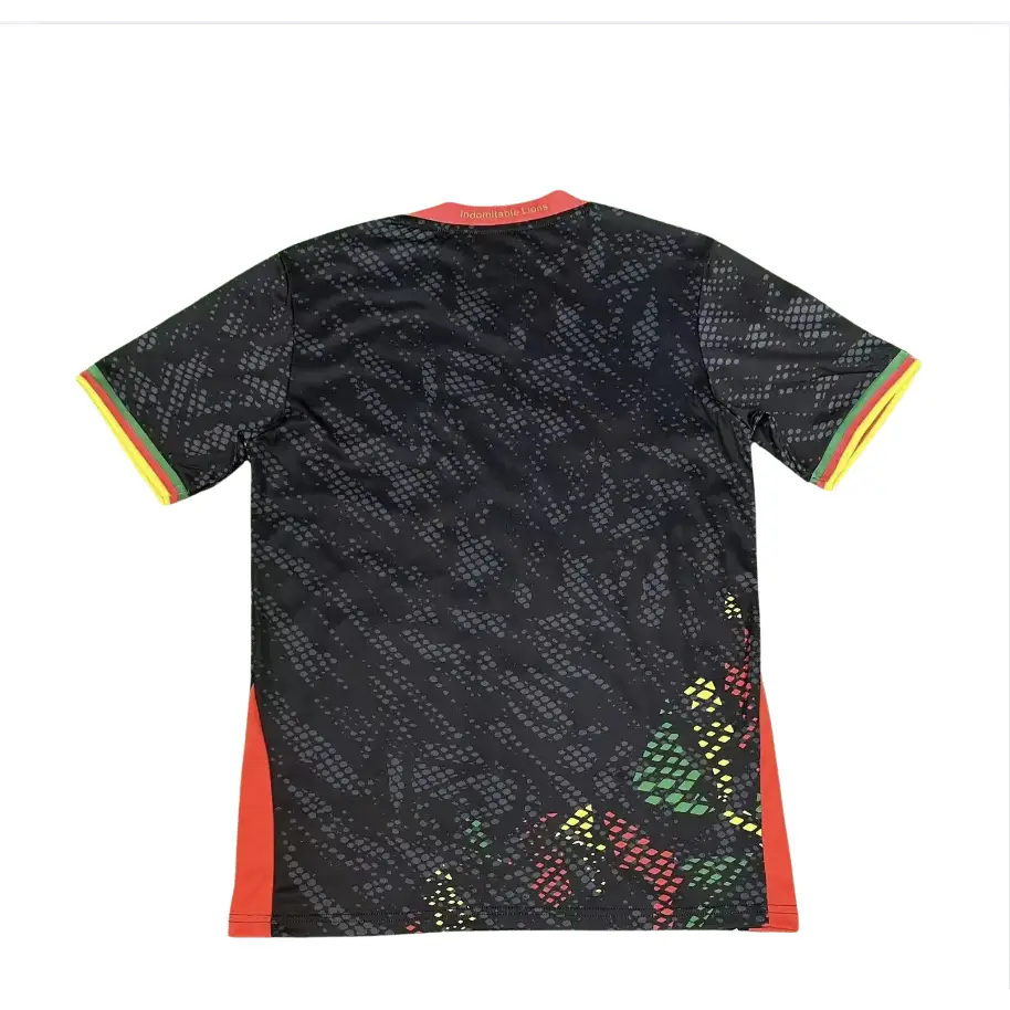 Maillot Cameroun Third CAN 2025 - Vêtements de sport