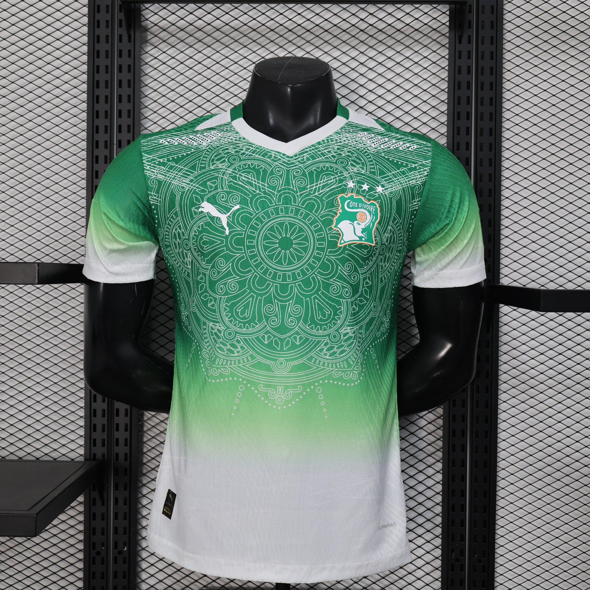 Maillot Cote d’Ivoire Concept degradé vert Version Joueur 2025/2026 - Vêtements de sport