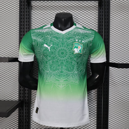 Maillot Cote d’Ivoire Concept degradé vert Version Joueur 2025/2026 - Vêtements de sport