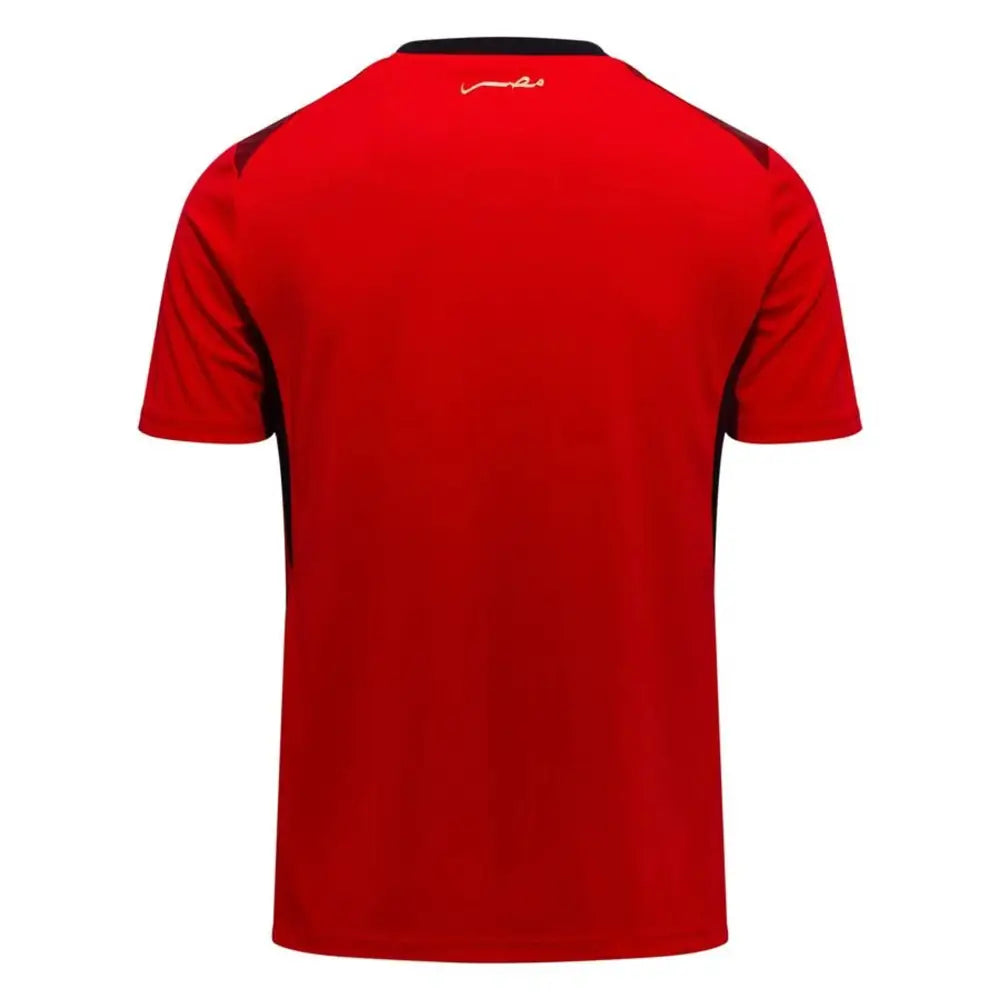 Maillot Egypte Coupe du Monde 2026 Domicile - Vêtements de sport