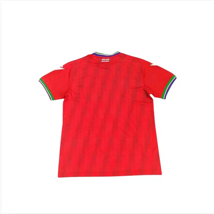 Maillot Guinée Équatoriale Domicile 2025/2026 - Vêtements de sport