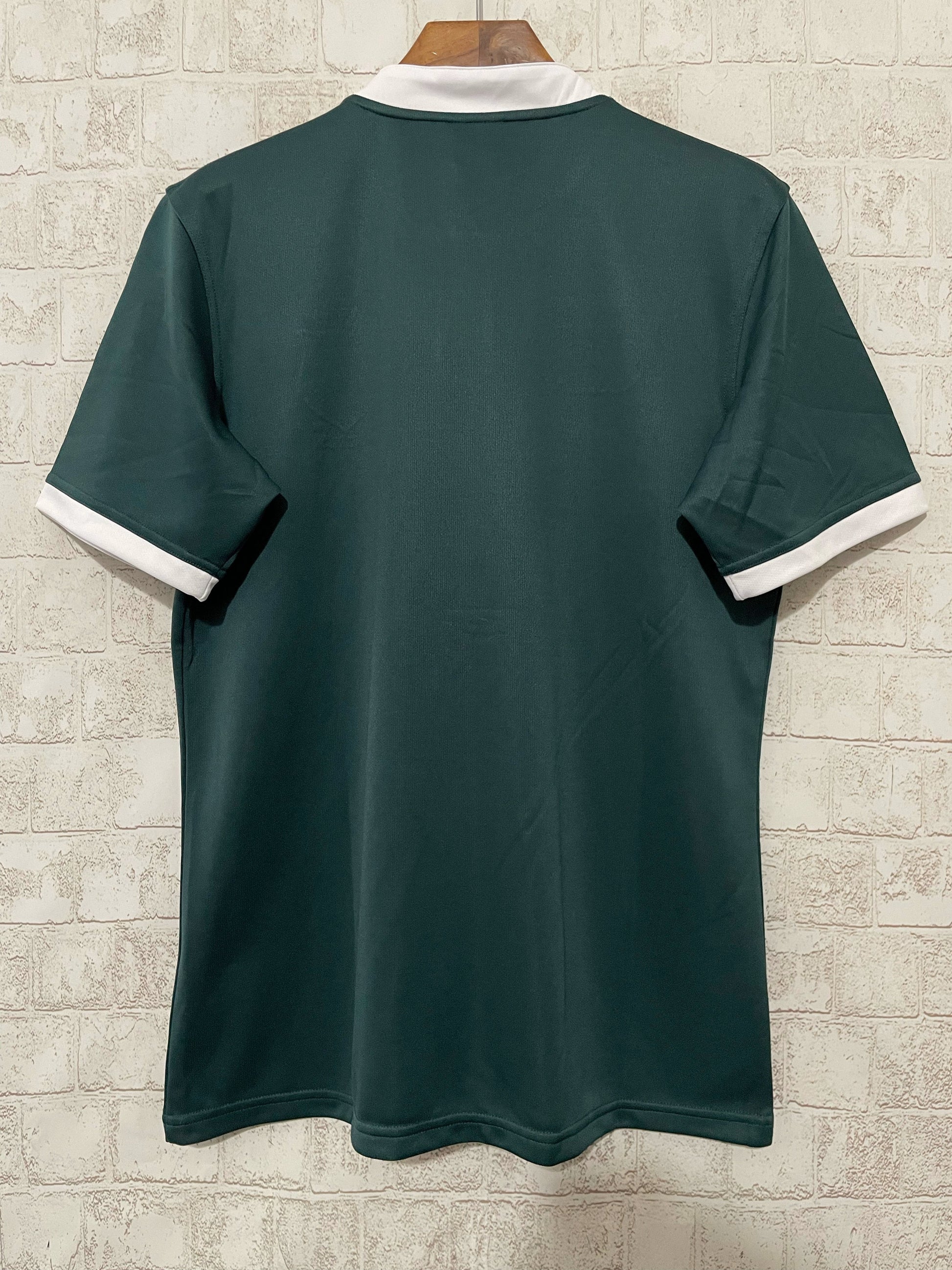 Maillot Lions Britanniques et Irlandais 2024/2025 - Vêtements de sport