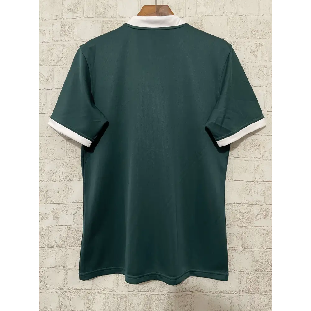 Maillot Lions Britanniques et Irlandais 2024/2025 - Vêtements de sport