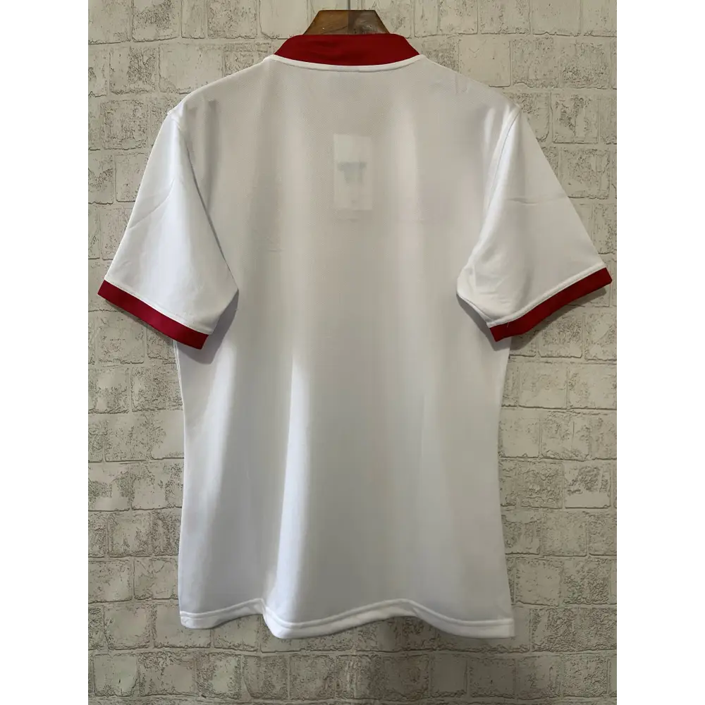 Maillot Lions Britanniques et Irlandais 2024/2025 - Vêtements de sport