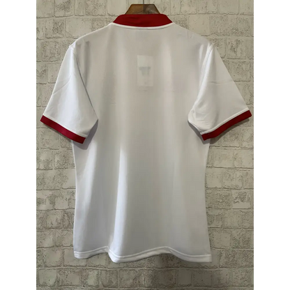 Maillot Lions Britanniques et Irlandais 2024/2025 - Vêtements de sport