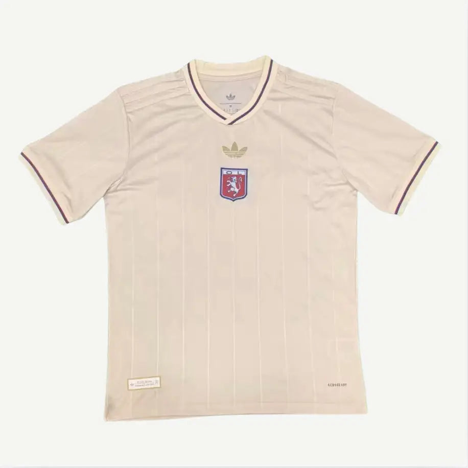 Maillot Lyon 75th anniversaire - Vêtements de sport