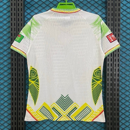 Maillot Mali Concept Vert 2025/2026 - Vêtements de sport