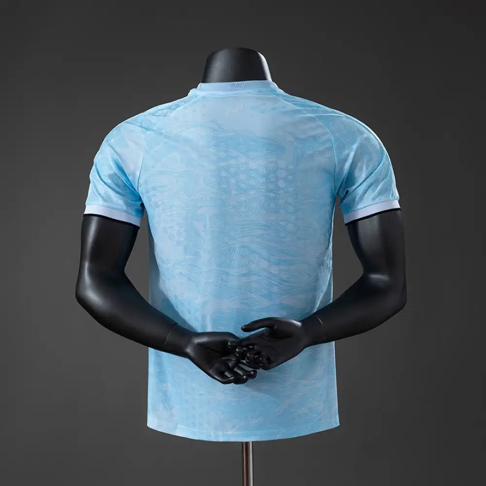 Maillot Uruguay Coupe du Monde 2026 Concept version joueur - Vêtements de sport